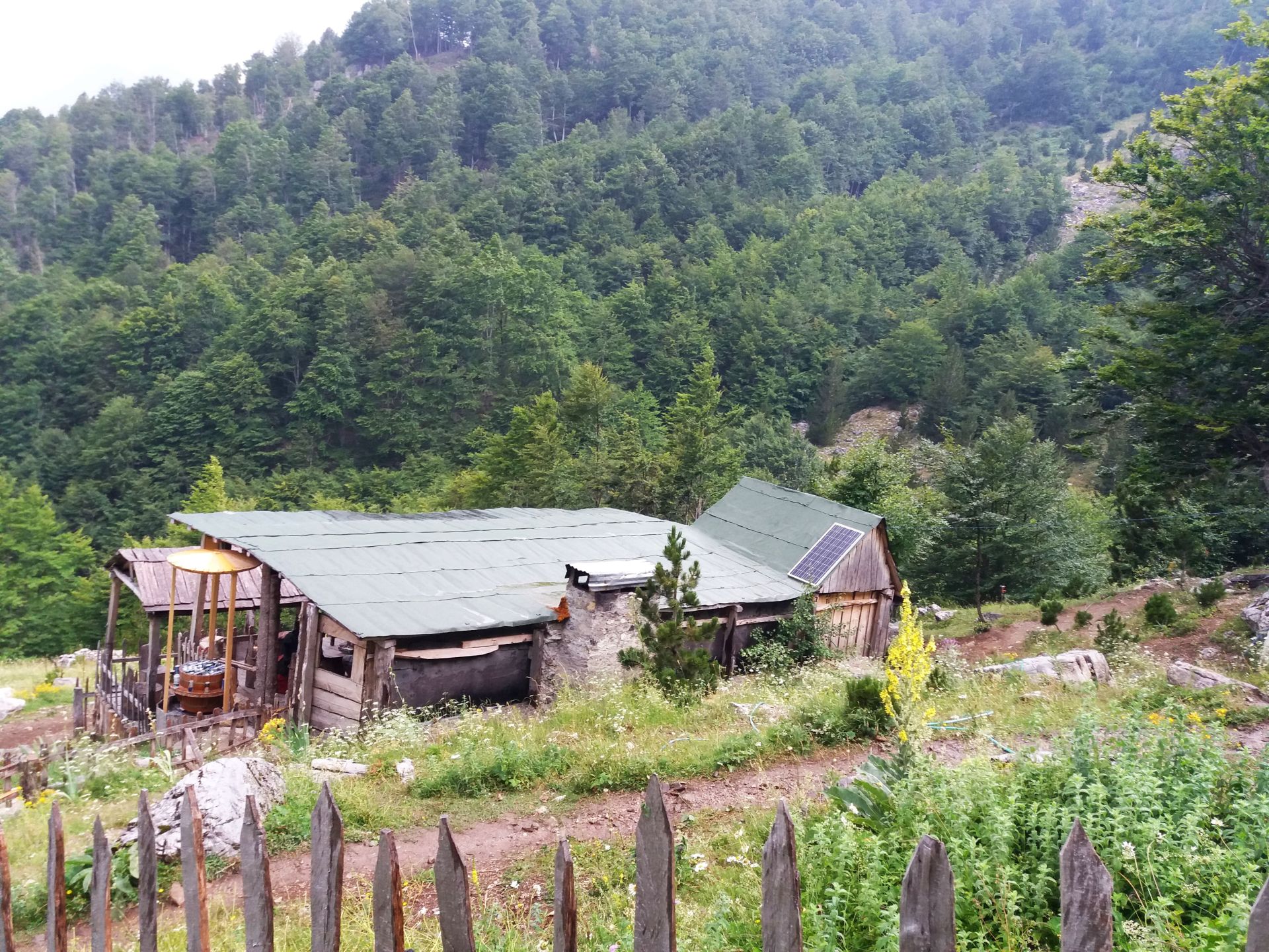 20170720 140008 Kruse Albania s