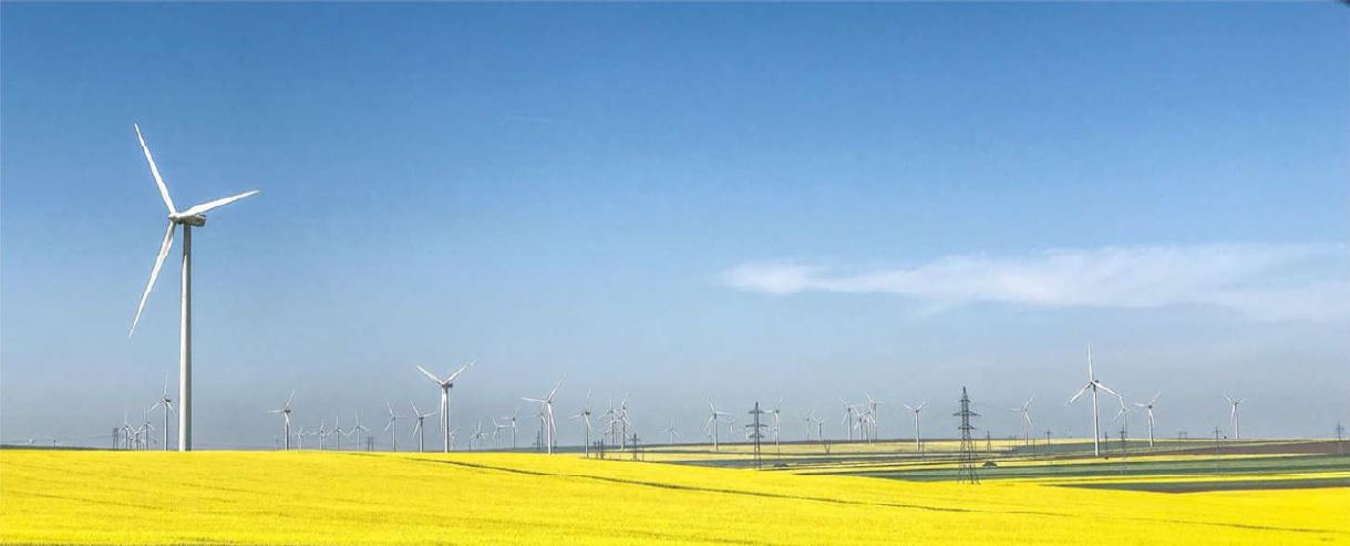 2nd place reflections