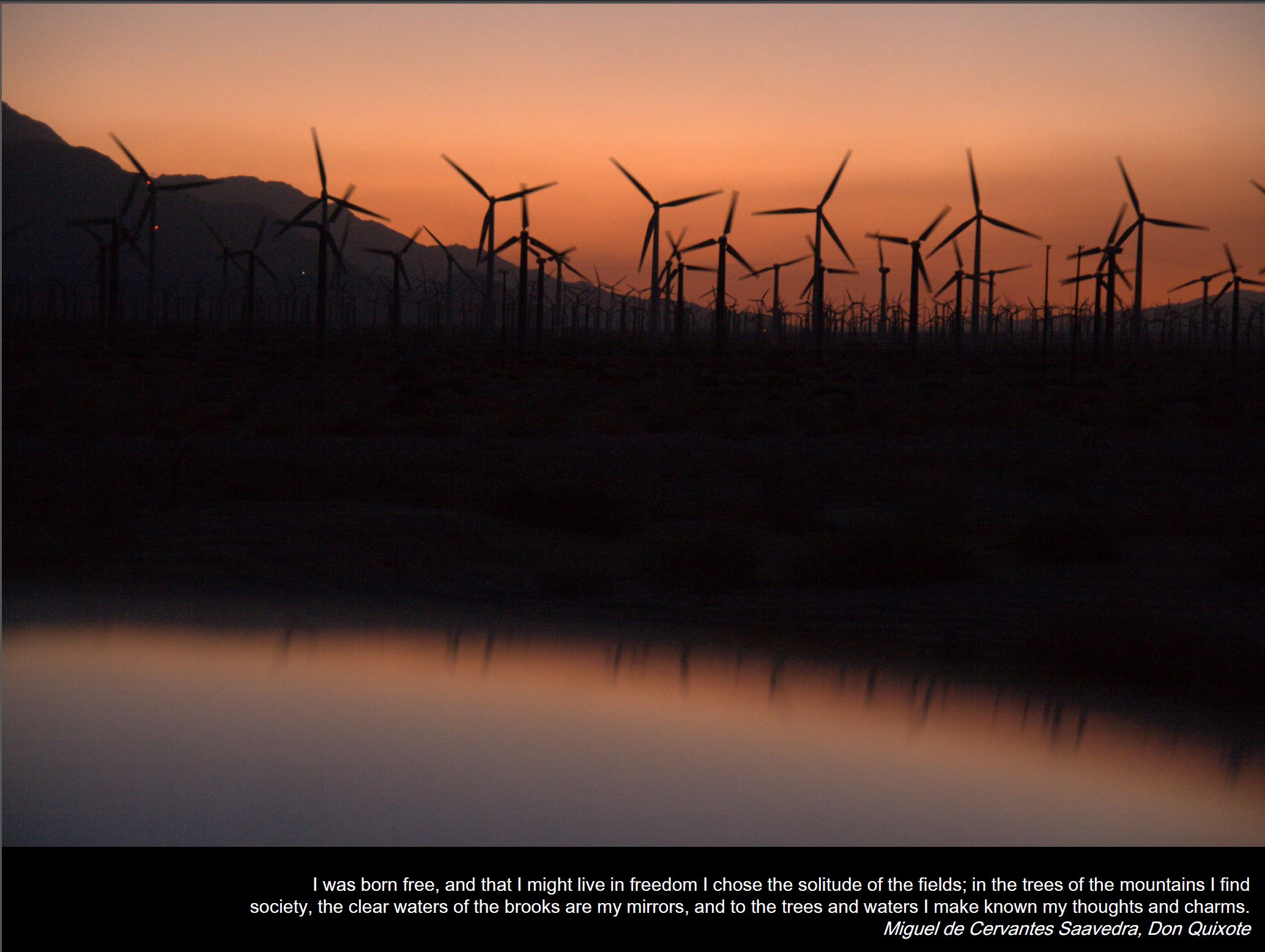 NajaMarot 1st price competition